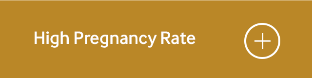 High Pregnancy Rate