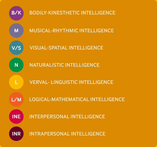 B/K:bodily-kinesthetic intelligence, M:musical-rhythmic intelligence, V/S:visual-spatial intelligence, N:naturalistic intelligence, L:verval- linguistic intelligence, L/M:logical-mathematical intelligence, INE:interpersonal intelligence, INR:intrapersonal intelligence