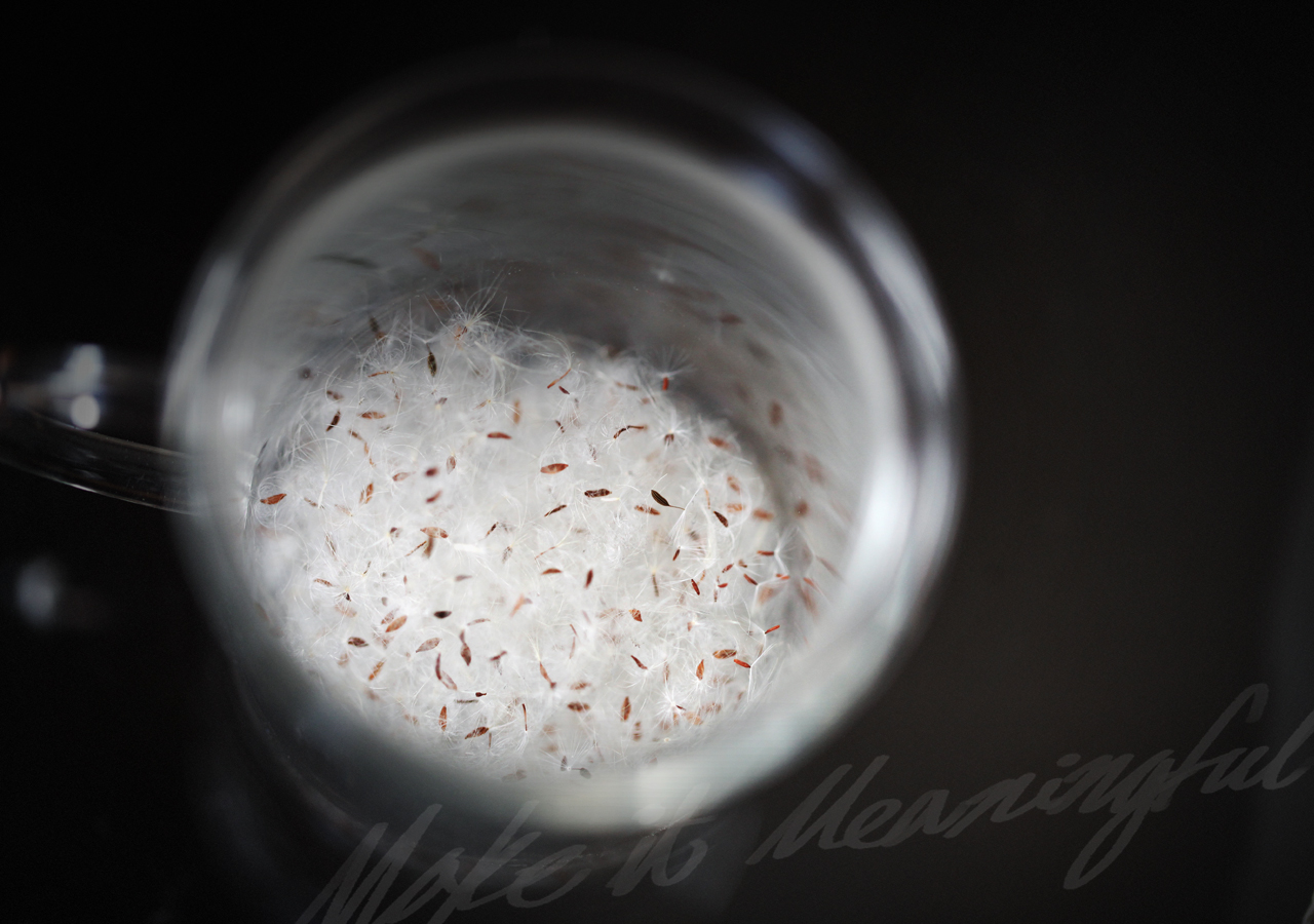 Dawoon Chung’s work. The background image automatically turns to next image.