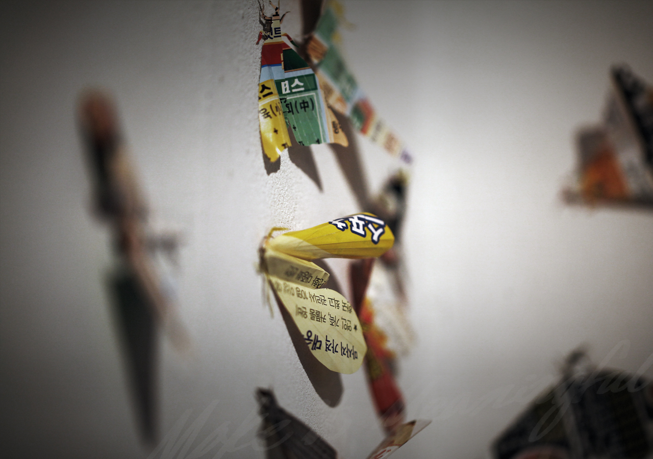 SooYoung Song’s work. The background image automatically turns to next image.