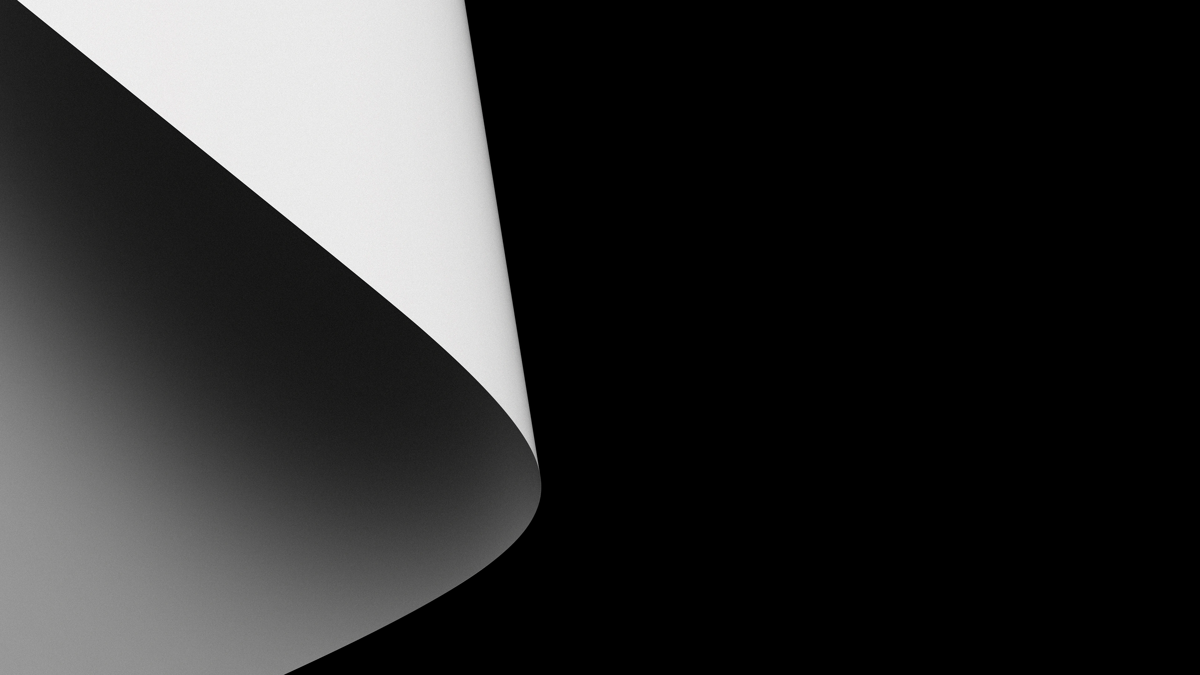 A design where smooth curves and clearly defined forms are harmoniously combined