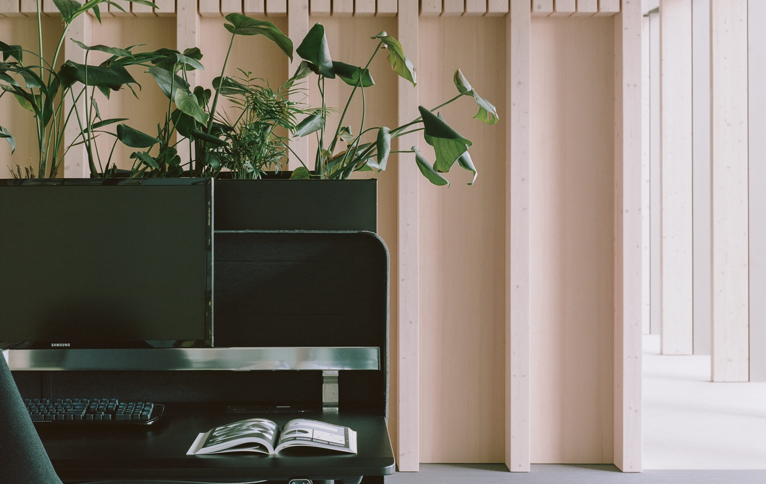 he deep green desk, light wooden partitions, and lush greenery come together in a natural and harmonious blend.