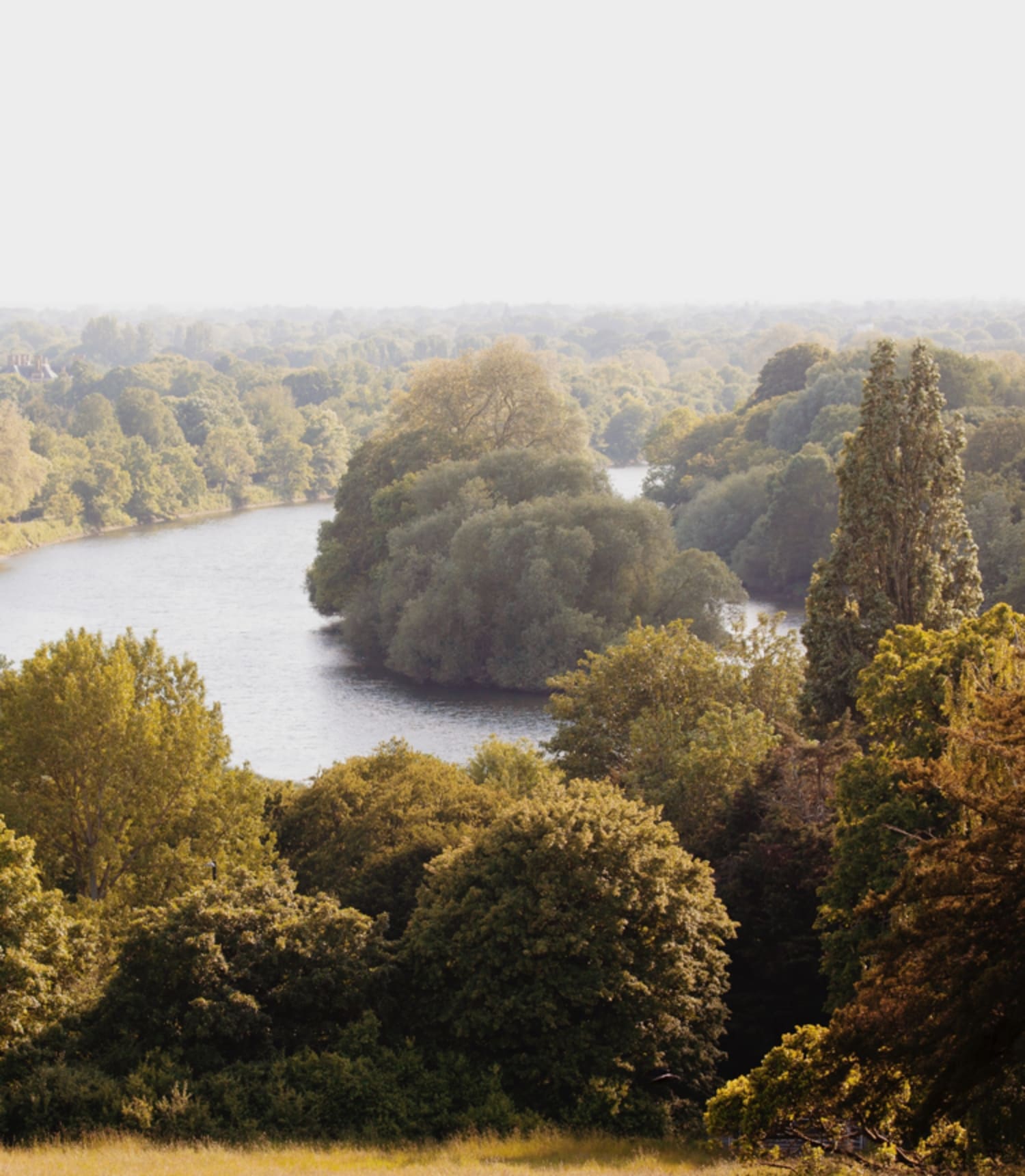 A serene landscape where the river gently flows amidst lush greenery, creating a tranquil and peaceful ambiance.