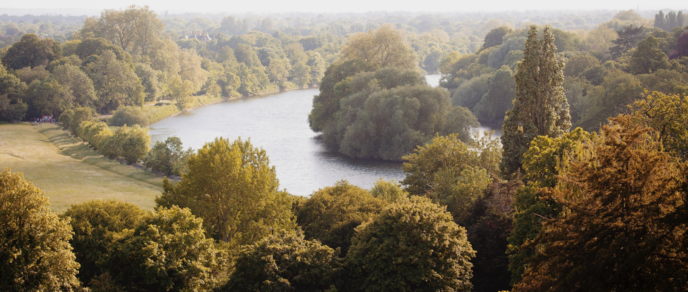 A serene landscape where the river gently flows amidst lush greenery, creating a tranquil and peaceful ambiance.