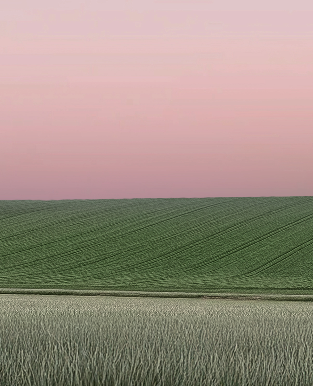 A landscape image featuring a softly pink sky above a neatly textured pale green field, with patterned grass in the foreground blending naturally into the scene.