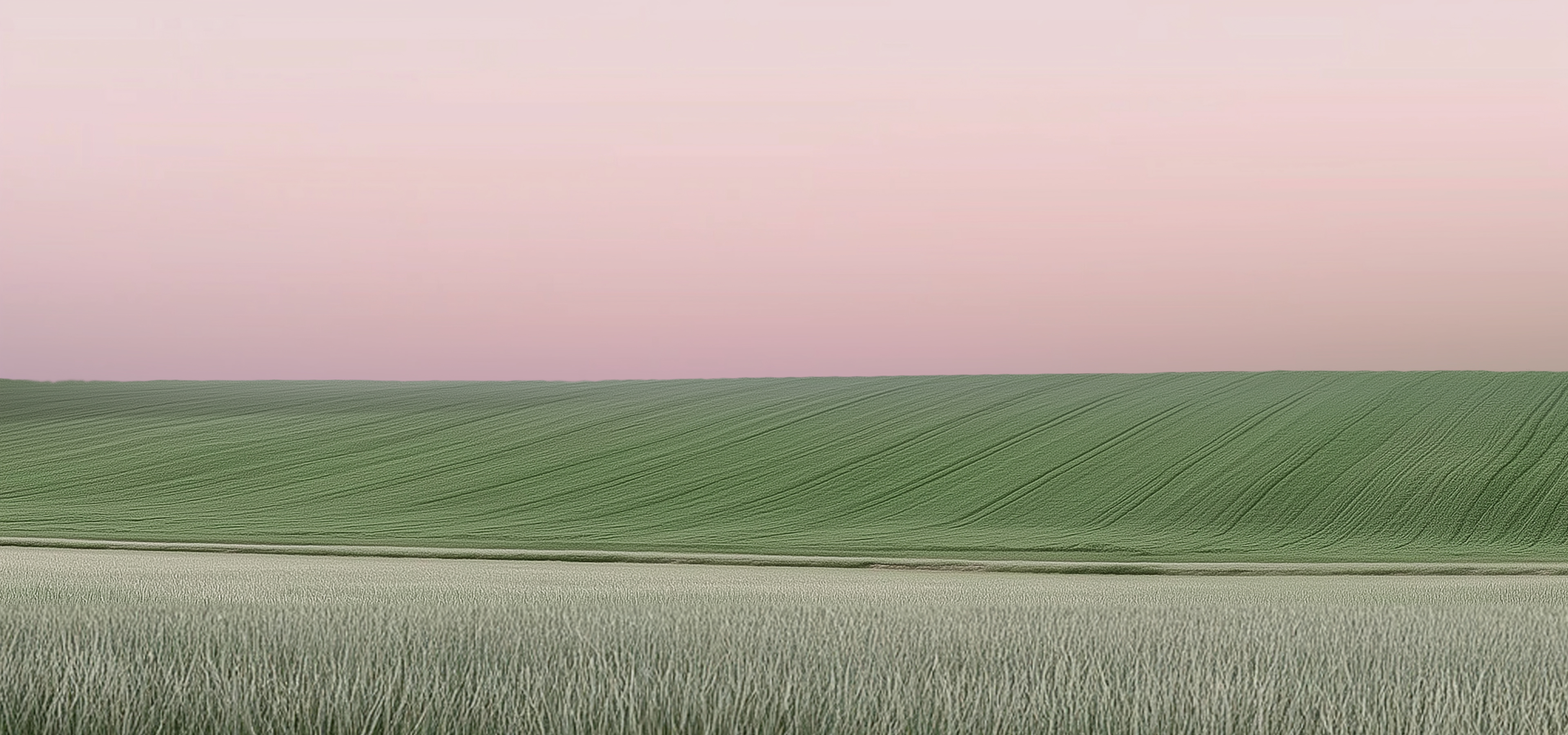 A landscape image featuring a softly pink sky above a neatly textured pale green field, with patterned grass in the foreground blending naturally into the scene.