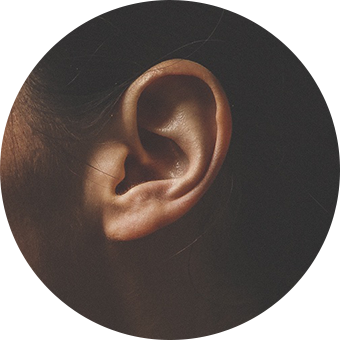 An image of an ear.