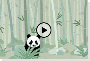 Panda Stroy
