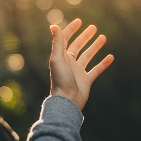 An image of a hand reaching out into sunlight