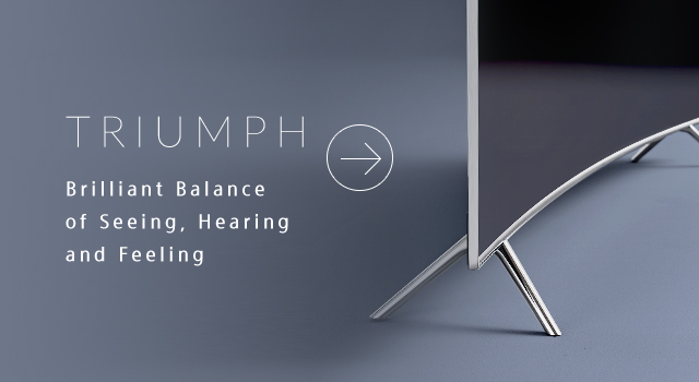 TRIUMPH Brilliant Balance of Seeing, Hearing and Feeling