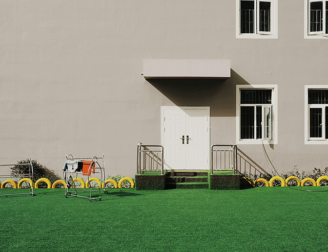 An image of green grass and wall.