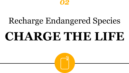 02 Recharge Endangered Species CHARGE THE LIFE