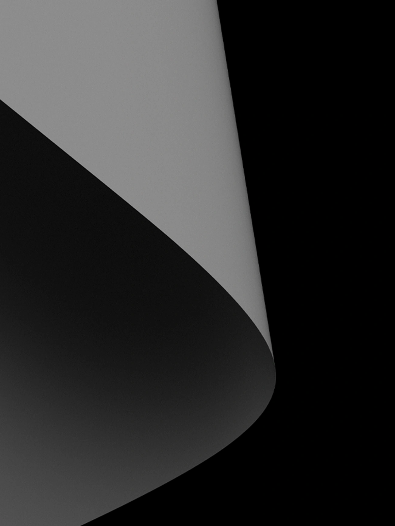 곡선의 부드러움과 또렷함이 보이는 조형