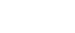 TRIUMPH 보고 듣고 느끼는 경험의 완전한 균형