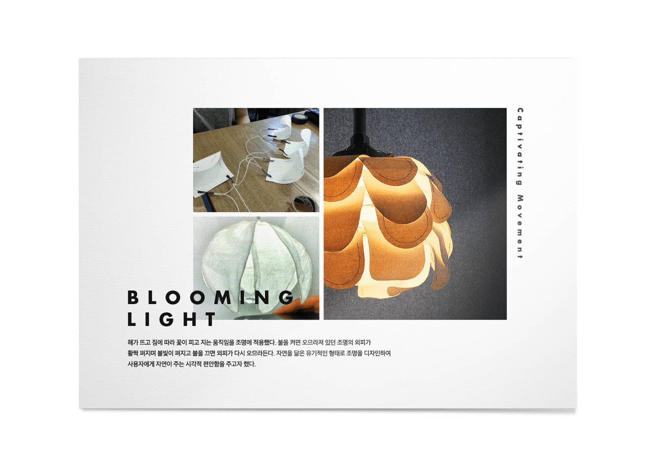 Blooming Light 대표 이미지가 있습니다.